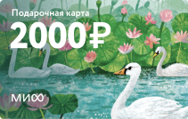 Подарочная карта на 2 000 ₽.