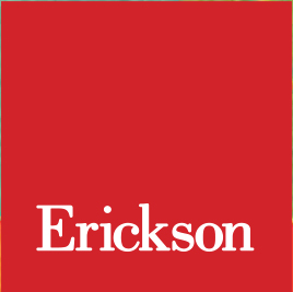 Серия развивающих игр Erickson