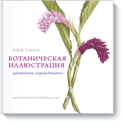 Ботаническая иллюстрация цветными карандашами райт рэй в2в маркетинг пошаговое руководство