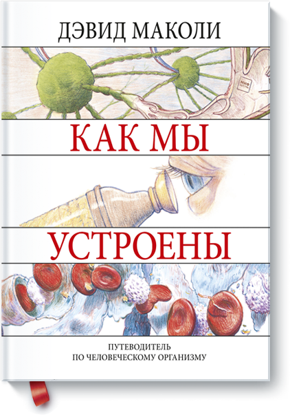 Дэвид Маколи, Василий Горохов (переводчик) - Как мы устроены