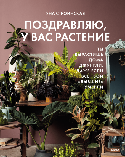 Почему погибают комнатные растения? | manikyrsha.ru