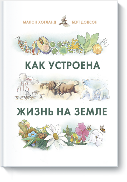 Малон Хогланд, Берт Додсон, Василий Горохов (переводчик) - Как устроена жизнь на Земле