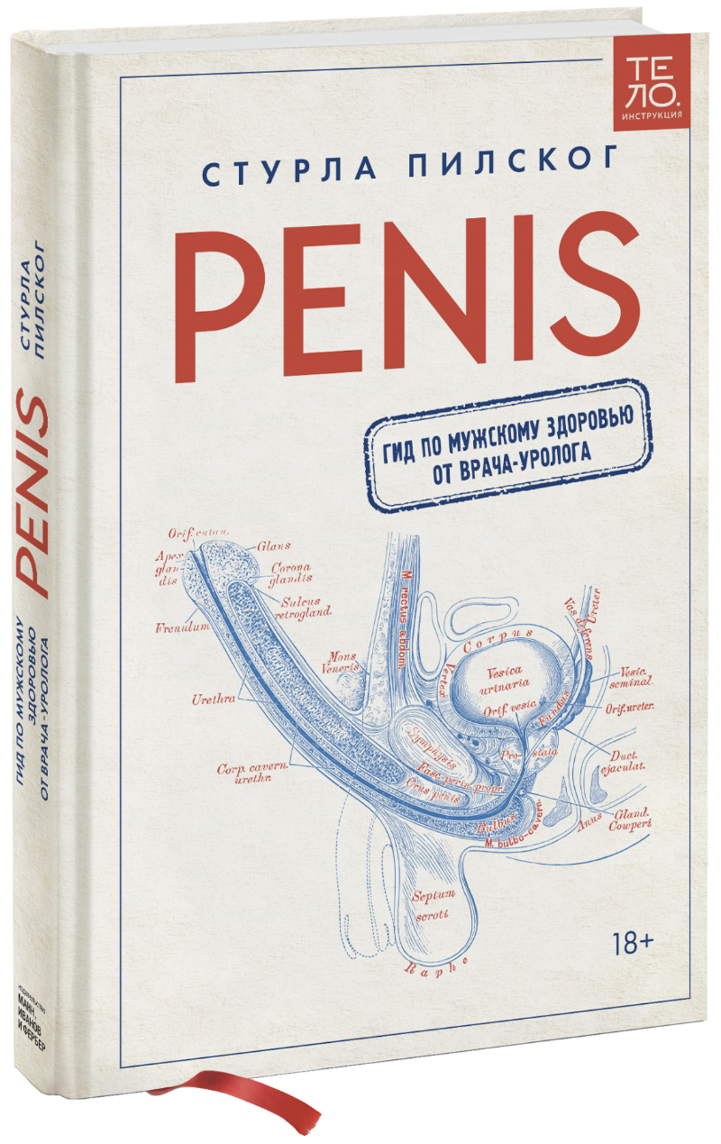 penis Penis