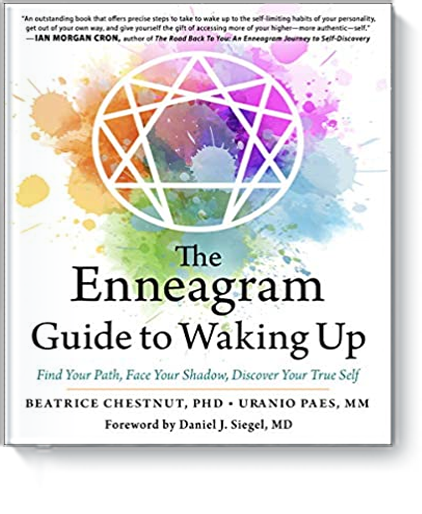 The Enneagram Guide to Waking Up