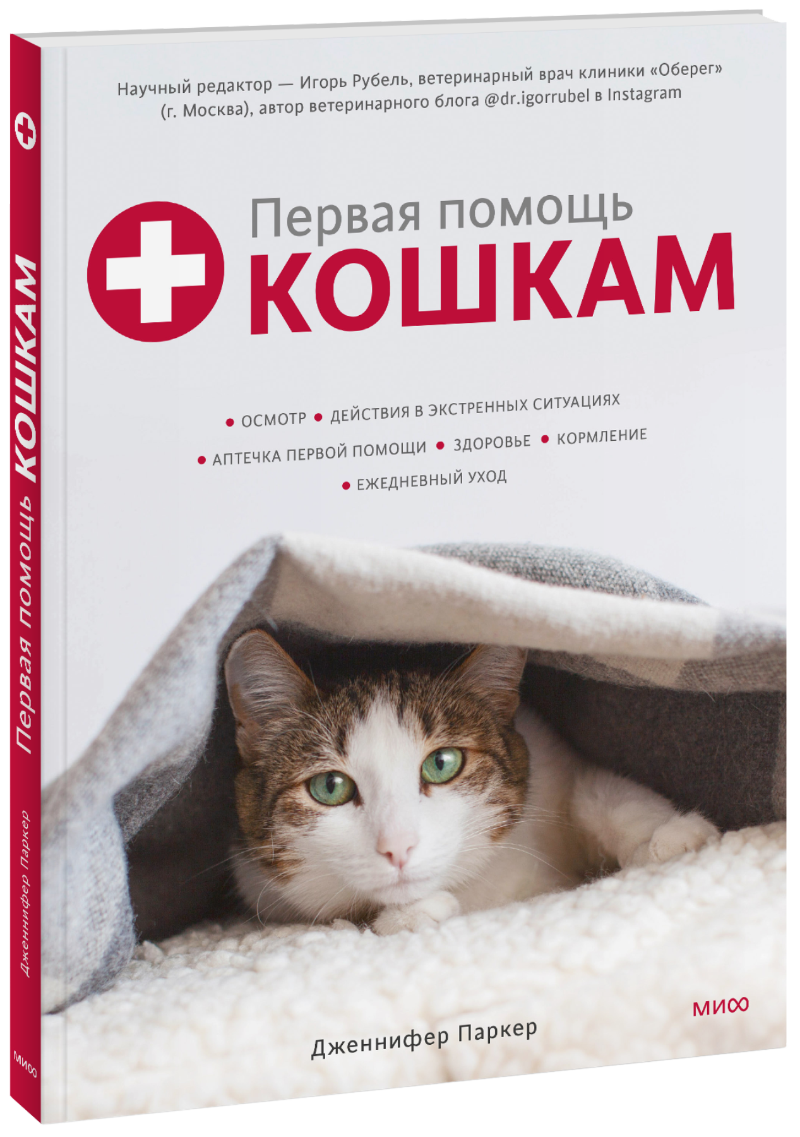 Первая помощь кошкам