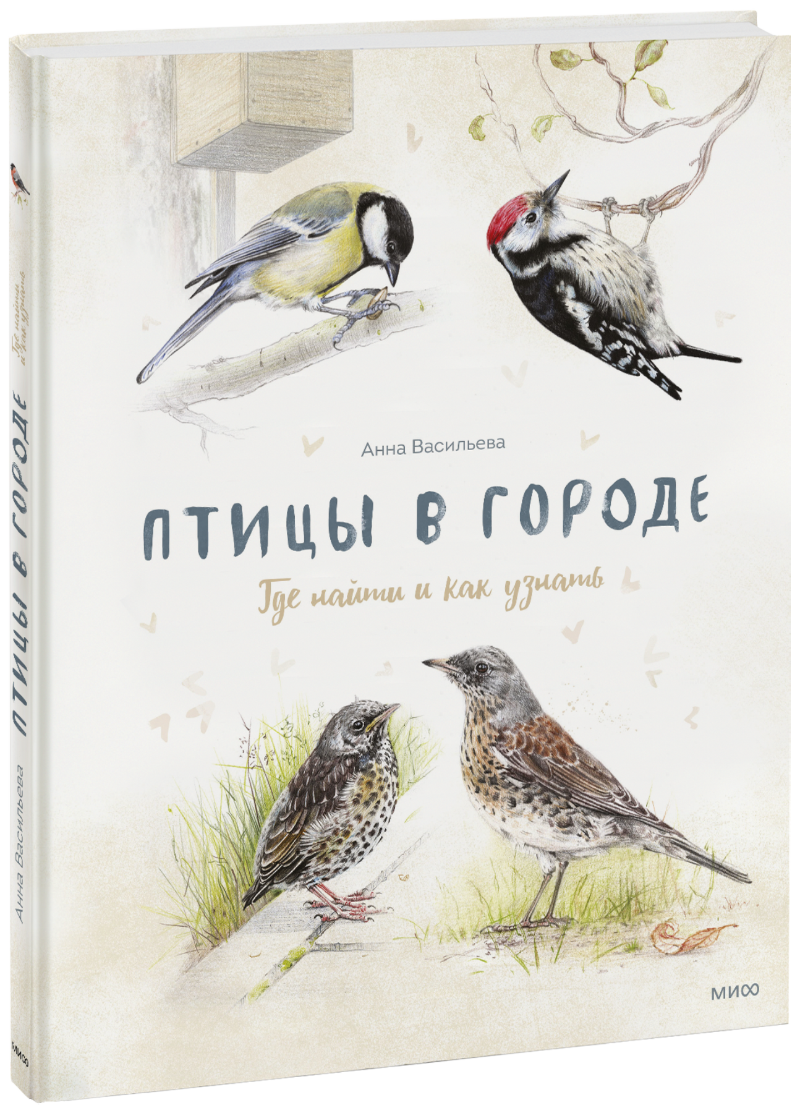 Книга «Птицы в городе» птицы в городе