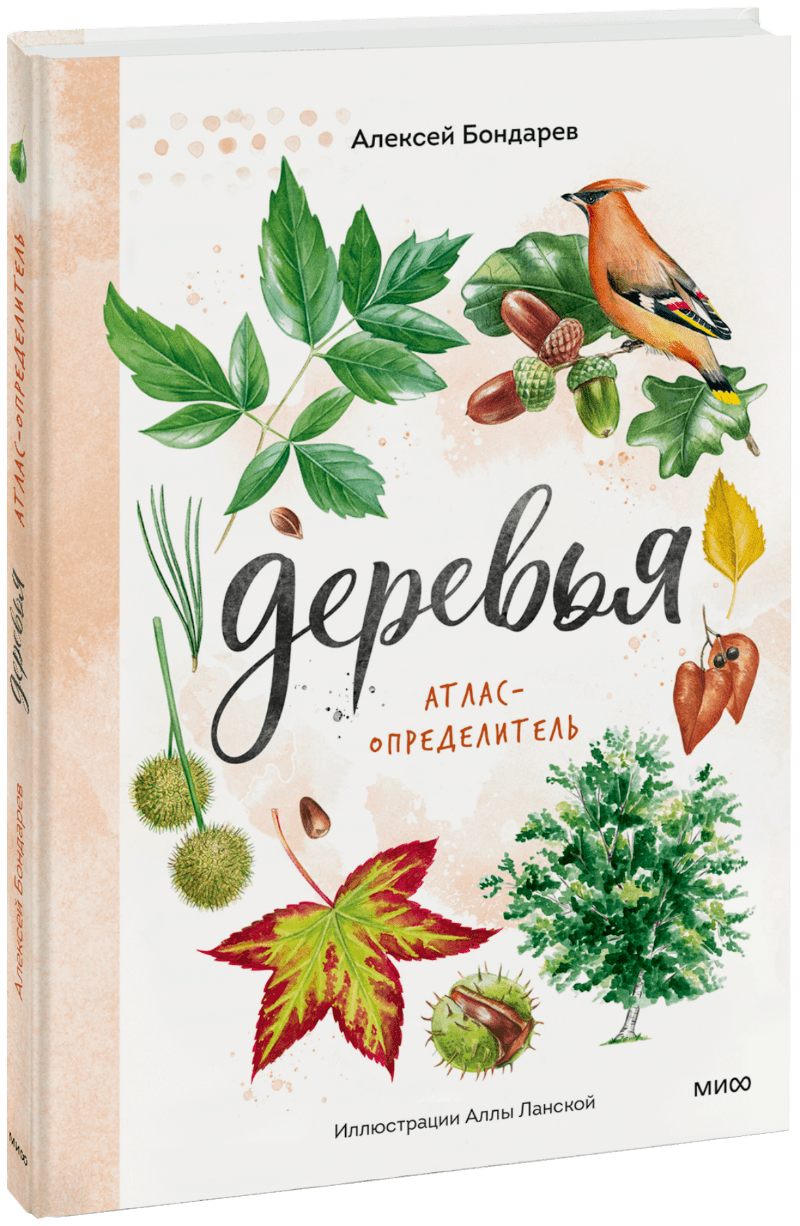 Деревья. Атлас-определитель