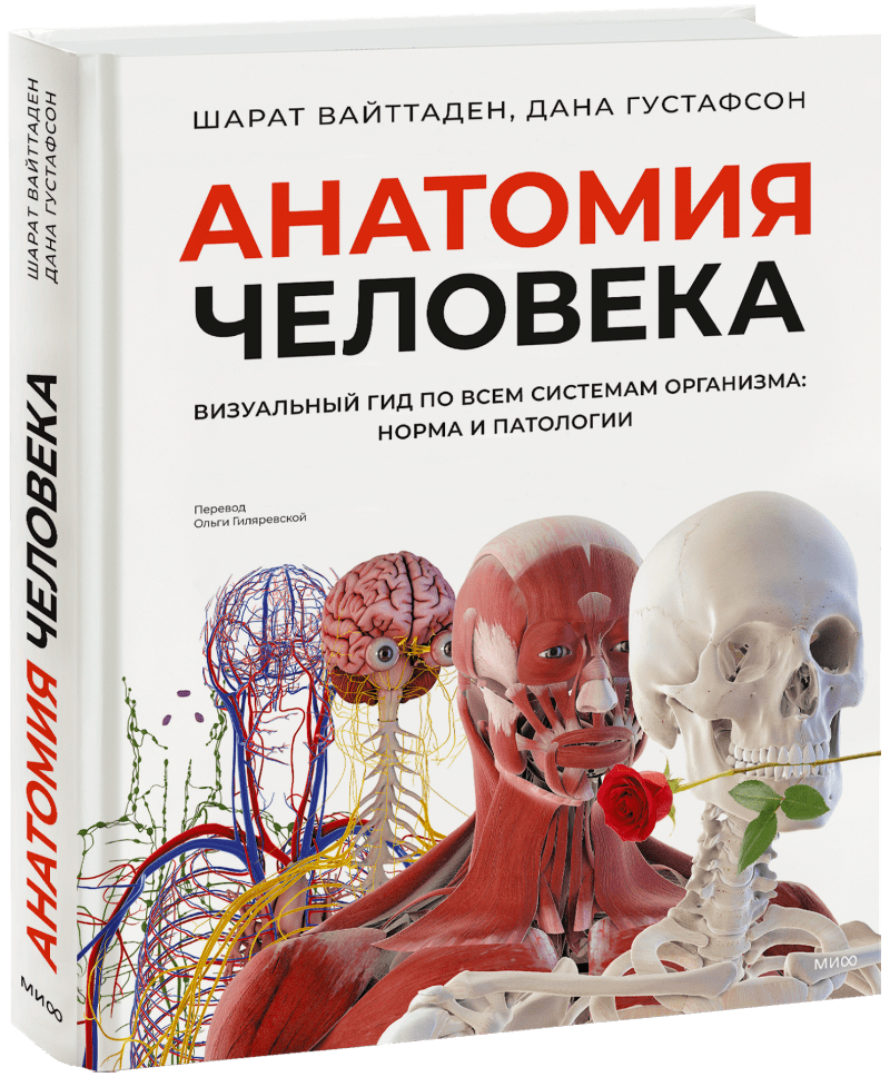 Книга «Анатомия человека»